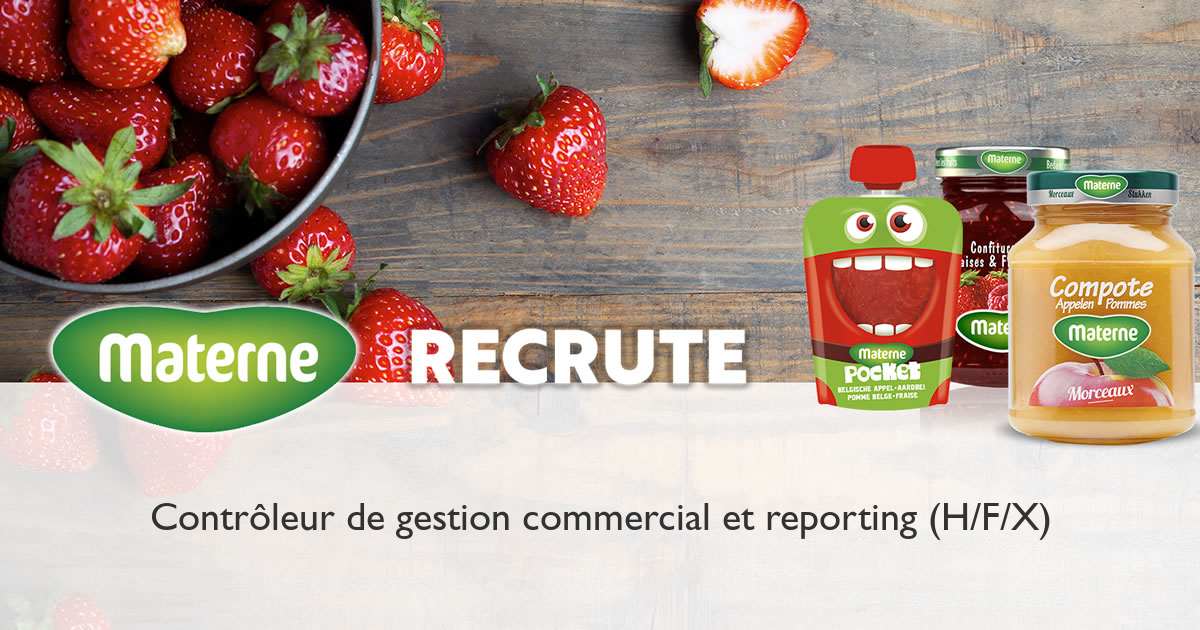 Contrôleur de gestion commercial et reporting (H/F/X) chez Materne - Confilux